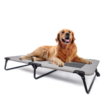 Outdoor Indoor Pet Bed Cushion Elevated Cooling Pet Cot Bed With Strong Mesh Steel